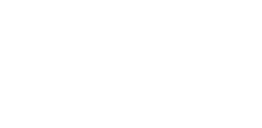 Bridal Expo logo